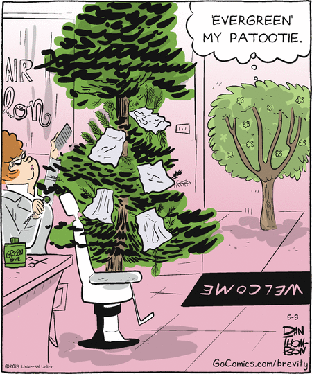 brevity